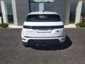 Land Rover Range Rover Evoque EVOQUE S AUTOCARRO Bianco - thumbnail 7