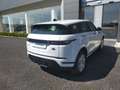 Land Rover Range Rover Evoque EVOQUE S AUTOCARRO Bianco - thumbnail 2