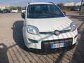 Fiat Panda Panda III 2021 1.0 firefly hybrid City Life s Bianco - thumbnail 5