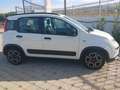Fiat Panda Panda III 2021 1.0 firefly hybrid City Life s Bianco - thumbnail 4