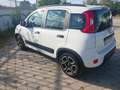Fiat Panda Panda III 2021 1.0 firefly hybrid City Life s Bianco - thumbnail 6
