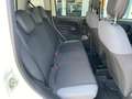Fiat Panda Panda 0.9 t.air t. 4x4 - Ex Vigili Urbani!!! Blanc - thumbnail 8