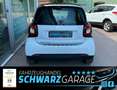 smart forTwo fortwo coupe electric drive + 3 J. Garant Wit - thumbnail 12