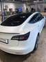 Tesla Model 3 Model 3 Long Range AWD 75kWh Weiß - thumbnail 3