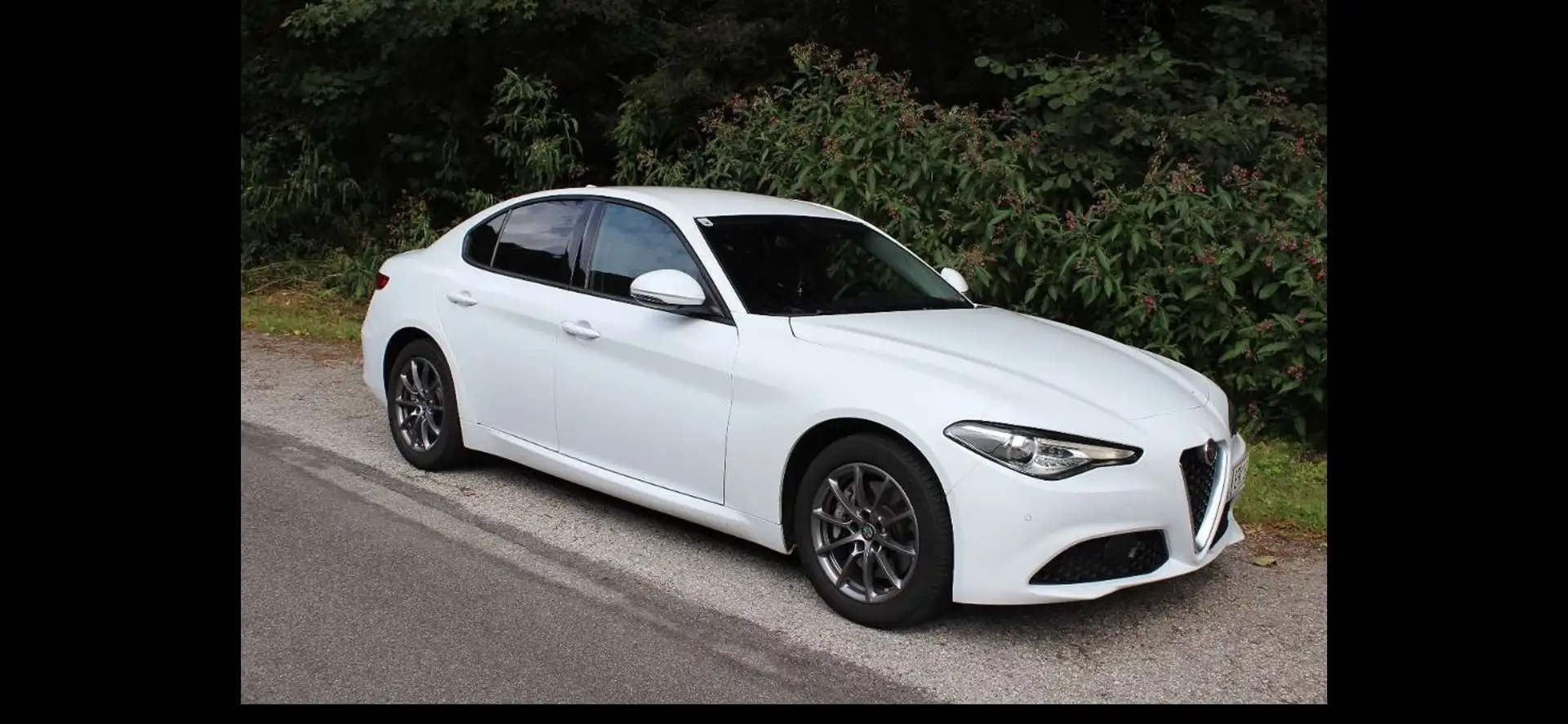 Alfa Romeo Giulia Business 2,2 190 ATX AWD Weiß - 1