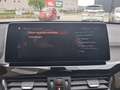 BMW X1 xDrive25e High Executive Full opties/Zeer Mooi! Gris - thumbnail 20