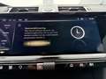 DS Automobiles DS 7 225pk E-Tense Etoile (Elektrisch Schuifdak - Trekh Grau - thumbnail 42