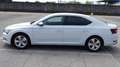 Skoda Superb 1.6 TDI, 120CV, manuale, "Executive", Garanzia.. Bianco - thumbnail 4