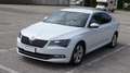 Skoda Superb 1.6 TDI, 120CV, manuale, "Executive", Garanzia.. Bianco - thumbnail 3