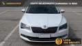 Skoda Superb 1.6 TDI, 120CV, manuale, "Executive", Garanzia.. Bianco - thumbnail 1