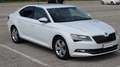 Skoda Superb 1.6 TDI, 120CV, manuale, "Executive", Garanzia.. Bianco - thumbnail 2