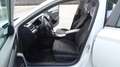 Skoda Superb 1.6 TDI, 120CV, manuale, "Executive", Garanzia.. Bianco - thumbnail 13