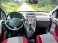 Fiat Panda 1.2 Climbing 4x4 - thumbnail 5