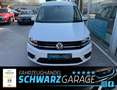 Volkswagen Caddy PKW Trendline*SHZ*BI-XENON*NAVI*ACC*KLIMA* Bianco - thumbnail 15