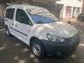 Volkswagen Caddy 1,2 Kasten KLIMA STANDHEIZUNG AHK SHZ 1 HAND Weiß - thumbnail 4