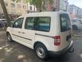 Volkswagen Caddy 1,2 Kasten KLIMA STANDHEIZUNG AHK SHZ 1 HAND Weiß - thumbnail 7