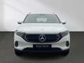 Mercedes-Benz EQA 250 Progressive Rückfahrkamera Ambiente LED Weiß - thumbnail 5
