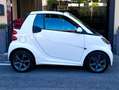 smart forTwo Cabrio 1.0 turbo 84cv FL - capote rossa - Blanc - thumbnail 33