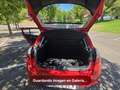 Renault Megane 1.5dCi Business 110 Rojo - thumbnail 8