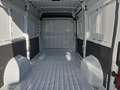 Fiat Ducato 35+ L2H2 BlueHDi 140 S&S Weiß - thumbnail 12