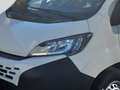 Fiat Ducato 35+ L2H2 BlueHDi 140 S&S Weiß - thumbnail 5