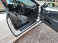 Saab 9-3 Cabrio 1.9 ttid 180 CV Aero KM 102.000 Weiß - thumbnail 9