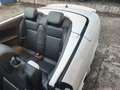 Saab 9-3 Cabrio 1.9 ttid 180 CV Aero KM 102.000 Weiß - thumbnail 18