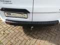 Ford Transit Custom 300 L1 Trend+AHK+LKW+GJR+neuer Motor! Weiß - thumbnail 6