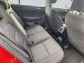 Kia Sportage Sportage Vision*AUTOMATIK*DIESEL*AWD Rot - thumbnail 5