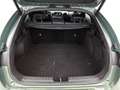 Kia ProCeed / pro_cee'd 1.5 T-GDi GT-PlusLine Panoramadak | JBL | Climatec Vert - thumbnail 39