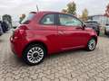 Fiat 500 1.2 Lounge Ok NeoPatentati Rosso - thumbnail 5