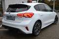 Ford Focus Lim. ST-Line X ErgoSitz Kamera AHK ACC Bianco - thumbnail 6