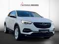 Opel Grandland 1.6 Turbo Business Edition LED+Navi+LM Weiß - thumbnail 2