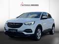 Opel Grandland 1.6 Turbo Business Edition LED+Navi+LM Weiß - thumbnail 3