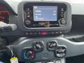 Fiat Panda Panda III 2021 1.0 firefly hybrid s Nero - thumbnail 6