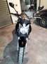 Yamaha XJ 600 Nero - thumbnail 10