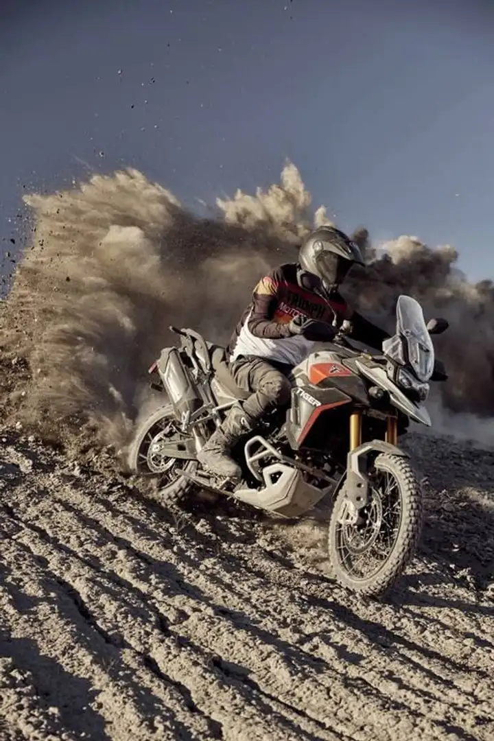 Triumph Tiger 900 RALLY PRO NEW 2024 AB JETZT BESTELLBAR - 2