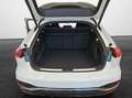 Audi A5 Avant TDI S tronic Tech pro B&O MMI experience ... Weiß - thumbnail 13