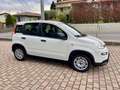 Fiat Panda 1.0 FireFly S&S Hybrid - KM0 Blanc - thumbnail 3