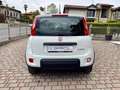 Fiat Panda 1.0 FireFly S&S Hybrid - KM0 Blanco - thumbnail 5