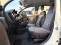 Fiat Panda 1.3 mjt 16v Cross 4x4 Blanco - thumbnail 11
