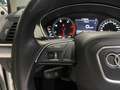 Audi Q5 Audi Q5  Business Edition 35 TDI  120(163) kW(ch) S tronic Bianco - thumbnail 11