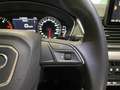 Audi Q5 Audi Q5  Business Edition 35 TDI  120(163) kW(ch) S tronic Bianco - thumbnail 12