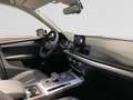 Audi Q5 Audi Q5  Business Edition 35 TDI  120(163) kW(ch) S tronic Blanco - thumbnail 8