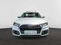 Audi Q5 Audi Q5  Business Edition 35 TDI  120(163) kW(ch) S tronic Bianco - thumbnail 2