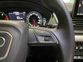 Audi Q5 Audi Q5  Business Edition 35 TDI  120(163) kW(ch) S tronic Blanco - thumbnail 12