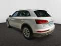 Audi Q5 Audi Q5  Business Edition 35 TDI  120(163) kW(ch) S tronic Bianco - thumbnail 7