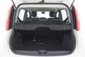 Fiat Panda Easy 1.2 Benzina 69CV Bianco - thumbnail 14