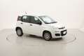 Fiat Panda Easy 1.2 Benzina 69CV Bianco - thumbnail 7