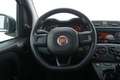 Fiat Panda Easy 1.2 Benzina 69CV Bianco - thumbnail 11